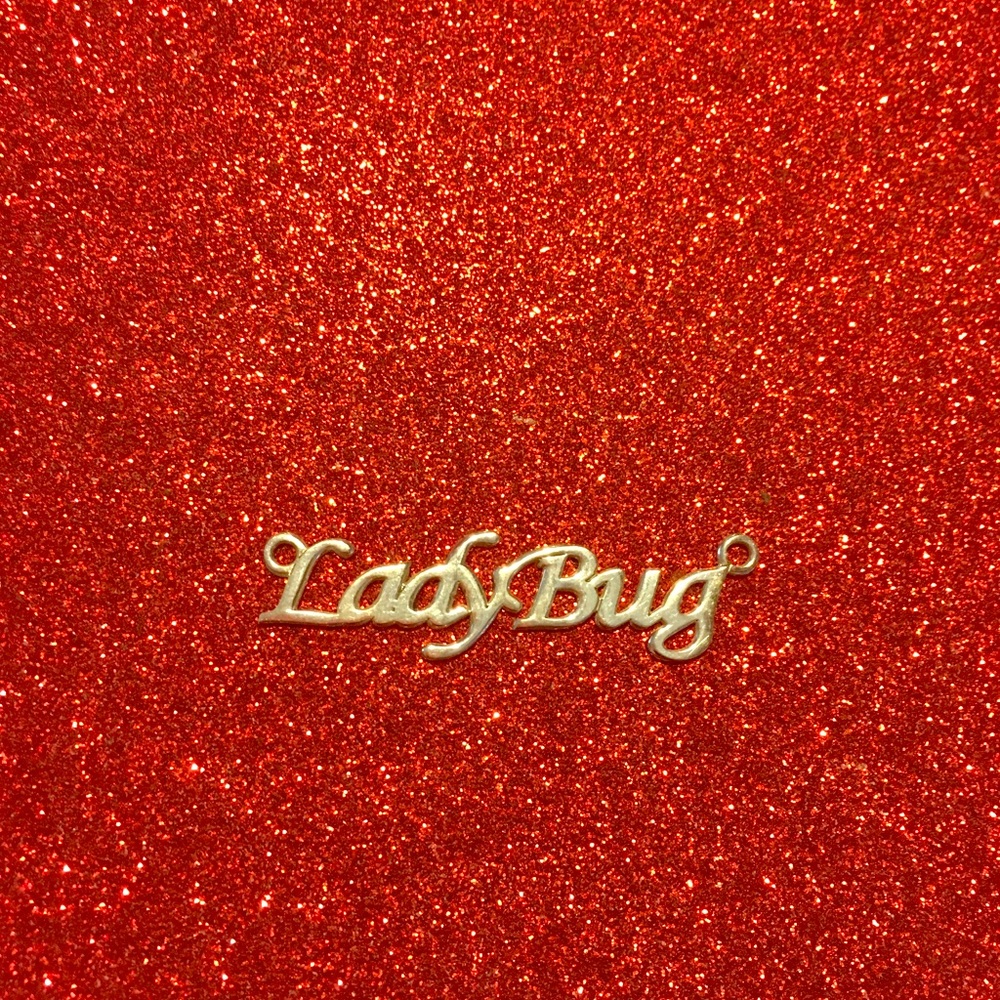 Personalized “LadyBug” name plate